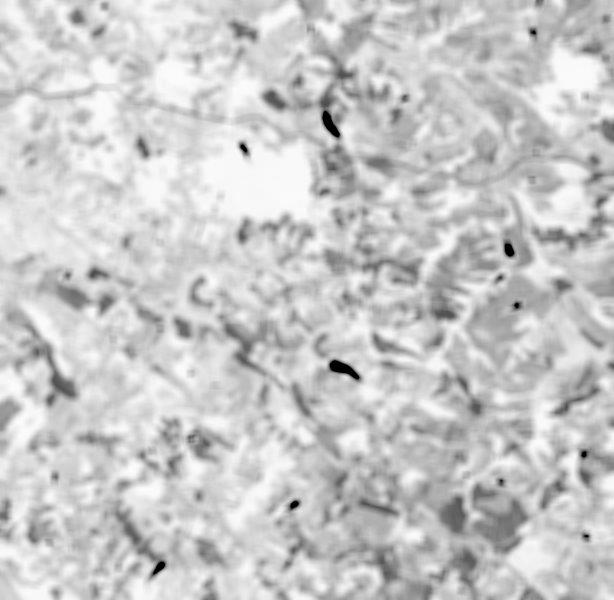 ../_images/SENTINEL2A_20180928-105515-685_L2A_T30TYP_D-ndvi-mean.jpg